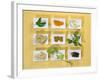 Asian Herbs and Spices-Christiane Krüger-Framed Photographic Print