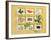 Asian Herbs and Spices-Christiane Krüger-Framed Photographic Print