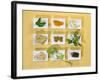 Asian Herbs and Spices-Christiane Krüger-Framed Photographic Print