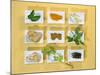 Asian Herbs and Spices-Christiane Krüger-Mounted Photographic Print