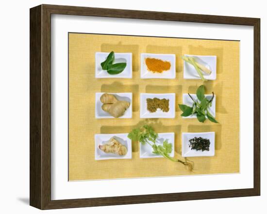 Asian Herbs and Spices-Christiane Krüger-Framed Photographic Print