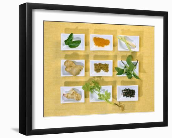 Asian Herbs and Spices-Christiane Krüger-Framed Photographic Print