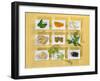 Asian Herbs and Spices-Christiane Krüger-Framed Photographic Print