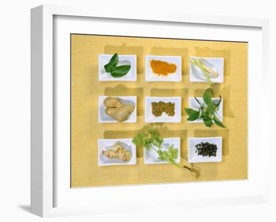 Asian Herbs and Spices-Christiane Krüger-Framed Photographic Print