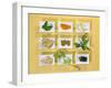 Asian Herbs and Spices-Christiane Krüger-Framed Photographic Print