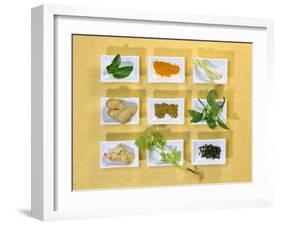 Asian Herbs and Spices-Christiane Krüger-Framed Photographic Print