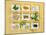 Asian Herbs and Spices-Christiane Krüger-Mounted Photographic Print