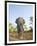 Asian Indian Elephant Bandhavgarh National Park, India. 2007-Tony Heald-Framed Premium Photographic Print