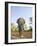 Asian Indian Elephant Bandhavgarh National Park, India. 2007-Tony Heald-Framed Photographic Print