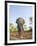 Asian Indian Elephant Bandhavgarh National Park, India. 2007-Tony Heald-Framed Photographic Print