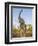 Asian Indian Elephant Holding Trunk in the Air, Bandhavgarh National Park, India. 2007-Tony Heald-Framed Photographic Print