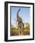 Asian Indian Elephant Holding Trunk in the Air, Bandhavgarh National Park, India. 2007-Tony Heald-Framed Photographic Print