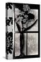 Asian Iris in Window-Mindy Sommers-Stretched Canvas