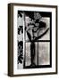 Asian Iris in Window-Mindy Sommers-Framed Giclee Print