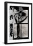 Asian Iris in Window-Mindy Sommers-Framed Giclee Print