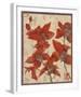 Asian Orchid II-Hollack-Framed Giclee Print