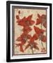 Asian Orchid II-Hollack-Framed Giclee Print