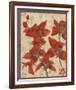 Asian Orchid II-Hollack-Framed Giclee Print