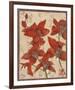 Asian Orchid II-Hollack-Framed Giclee Print