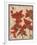 Asian Orchid II-Hollack-Framed Giclee Print