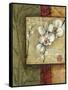 Asian Orchids I-Ethan Harper-Framed Stretched Canvas