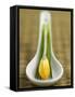 Asian Soup Spoon with Yellow Flower-Elisabeth Cölfen-Framed Stretched Canvas