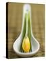 Asian Soup Spoon with Yellow Flower-Elisabeth Cölfen-Stretched Canvas