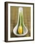 Asian Soup Spoon with Yellow Flower-Elisabeth Cölfen-Framed Photographic Print