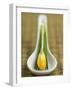 Asian Soup Spoon with Yellow Flower-Elisabeth Cölfen-Framed Photographic Print