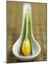 Asian Soup Spoon with Yellow Flower-Elisabeth Cölfen-Mounted Photographic Print