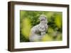 Asian Statue, Bamboo, 22nd District-Rainer Mirau-Framed Photographic Print