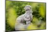 Asian Statue, Bamboo, 22nd District-Rainer Mirau-Mounted Photographic Print