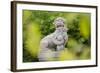 Asian Statue, Bamboo, 22nd District-Rainer Mirau-Framed Photographic Print