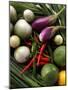 Asian Still Life with Aubergines, Chili and Limes-Foodcollection-Mounted Photographic Print