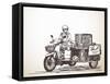 Asian Street Food on Motorbike, Hand Drawn Vector Sketch-Olga Tropinina-Framed Stretched Canvas