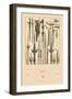 Asian Swords-Racinet-Framed Art Print