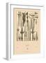 Asian Swords-Racinet-Framed Art Print