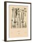 Asian Swords-Racinet-Framed Art Print