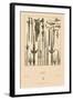 Asian Swords-Racinet-Framed Art Print