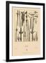 Asian Swords-Racinet-Framed Art Print