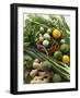 Asian Vegetable Still Life with Limes, Herbs, Ginger-Foodcollection-Framed Photographic Print