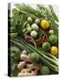 Asian Vegetable Still Life with Limes, Herbs, Ginger-Foodcollection-Stretched Canvas