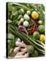 Asian Vegetable Still Life with Limes, Herbs, Ginger-Foodcollection-Stretched Canvas