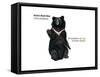 Asiatic Black Bear (Ursus Thibetanus), Mammals-Encyclopaedia Britannica-Framed Stretched Canvas