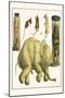Asiatic Elephant, Human Fetus, Sheep Embryo, Pig Embryo, Mice-Albertus Seba-Mounted Art Print