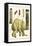 Asiatic Elephant, Human Fetus, Sheep Embryo, Pig Embryo, Mice-Albertus Seba-Framed Stretched Canvas