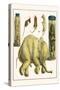 Asiatic Elephant, Human Fetus, Sheep Embryo, Pig Embryo, Mice-Albertus Seba-Stretched Canvas