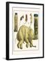 Asiatic Elephant, Human Fetus, Sheep Embryo, Pig Embryo, Mice-Albertus Seba-Framed Art Print