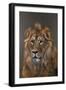 Asiatic Lion, 2015 (Acrylic)-Faisal Khouja-Framed Giclee Print