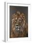 Asiatic Lion, 2015 (Acrylic)-Faisal Khouja-Framed Giclee Print